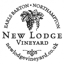 New Lodge Vineyard