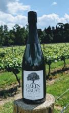 Blanc de Noir 2015 Vintage