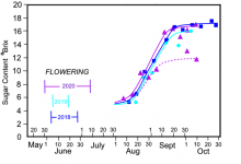 ES 4-14 Kandiyohi sugar contents