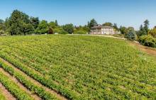 Leonardslee Lakes & Gardens Vineyard Leonardslee Lakes & Gardens Vineyard