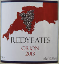 Redyeates Orion 2013