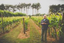 Polgoon Vineyard 
