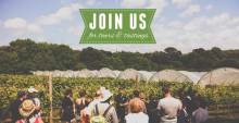 Polgoon Vineyard Tour &Tastings
