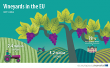 Vineyards in the EU - statistics
