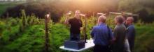 Amber Valley Vineyard - Doehole