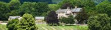 Ancre Hill Vineyard