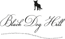 Black Dog Hill Vineyard