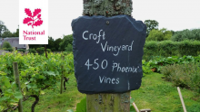 Croft Castle Vineyard