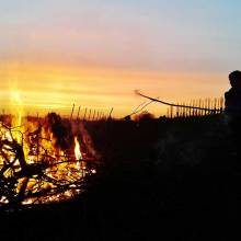 Chartham Vineyard Chartham Vineyard