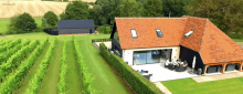 Toppesfield Vineyard