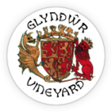 Glyndwr Vineyard