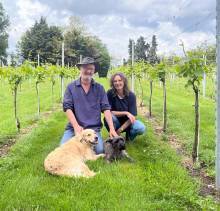 Hawkwood Vineyard