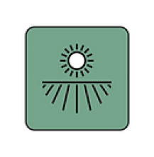 Hebron Vineyard Hebron Vineyard