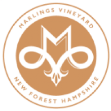 Marlings Vineyard Marlings Vineyard