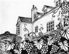 Kents Green Vineyard