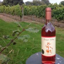 Langot Valley Vineyard