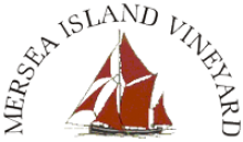 Mersea Island Vineyard