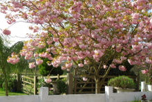 New Lodge Vineyard New Lodge Vineyard