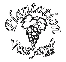Plantation House Vineyards Plantation House Vineyards