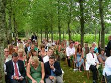 Setley Ridge Vineyard