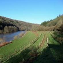 Upper Bigsweir Vineyard