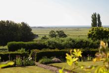 Charles Palmer Vineyards and Wickham Manor B&B 