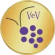 Villa Elena Vineyard