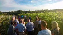 Vineyard Tour Sunday am Vineyard Tour Sunday am