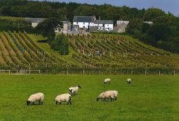 Torview Wines Torview Wines