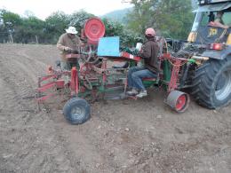 Sidbury Vineyard Sidbury Vineyard