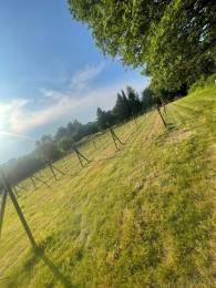 The Orchard Vineyard