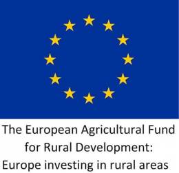 The European Agricultural Fund for Rural Development: Europe investing in rural areas. The European Agricultural Fund for Rural Development: Europe investing in rural areas.