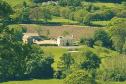 Llaethliw Vineyard Llaethliw Vineyard