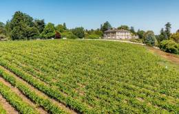 Leonardslee Lakes & Gardens Vineyard Leonardslee Lakes & Gardens Vineyard