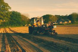 Llaethliw Vineyard Llaethliw Vineyard