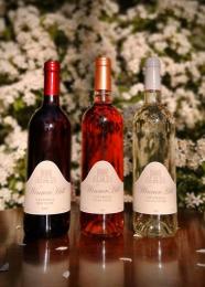 Winner Hill Vineyard Winner Hill Vineyard