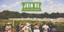 Polgoon Vineyard Tour &Tastings Polgoon Vineyard Tour &Tastings