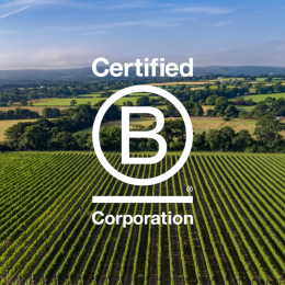 Ridgeview Wine Estate Ridgeview Wine Estate