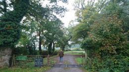 Birchenwood Vineyard