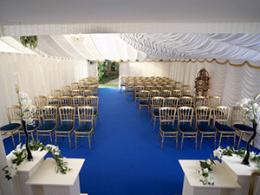 Steeple Court Farm Vineyard