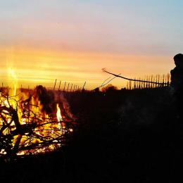 Chartham Vineyard Chartham Vineyard