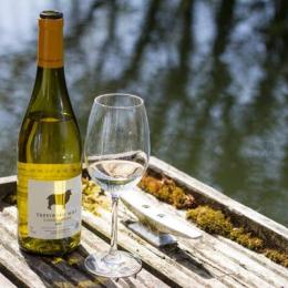 Trevibban Mill Vineyard
