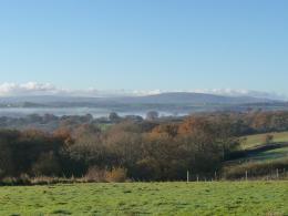 Coombe Head Meadow Vineyard