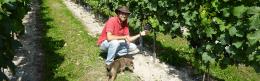 Cottonworth Vineyard