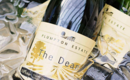 Plumpton College - Ditchling Vineyard Plumpton College - Ditchling Vineyard