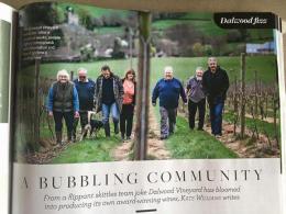 Dalwood Vineyard