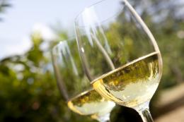 Laurel Vines Vineyard & Winery