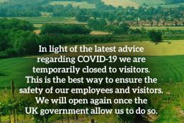 Godstone Vineyards Godstone Vineyards