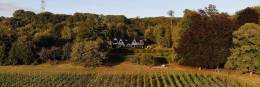 Gorsley Vineyard