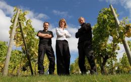 Halfpenny Green Vineyard